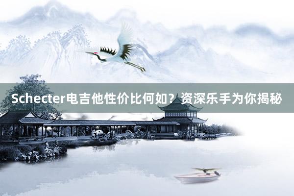 Schecter电吉他性价比何如？资深乐手为你揭秘